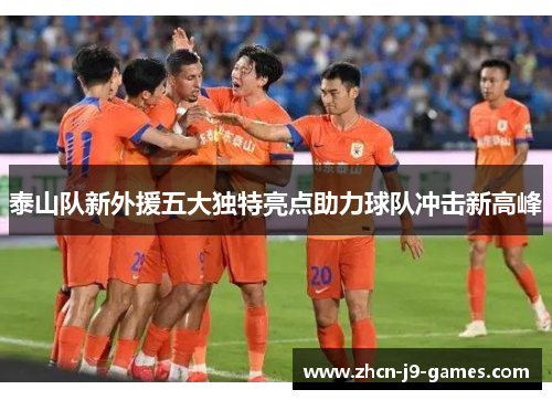 泰山队新外援五大独特亮点助力球队冲击新高峰